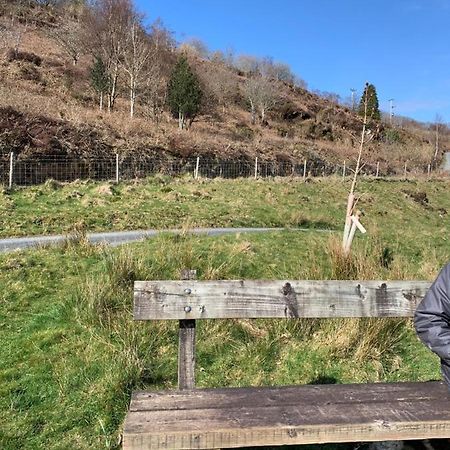 Penrhyndeudreath Snowdonia Rock Cottage - Cosy And Pet Friendly מראה חיצוני תמונה