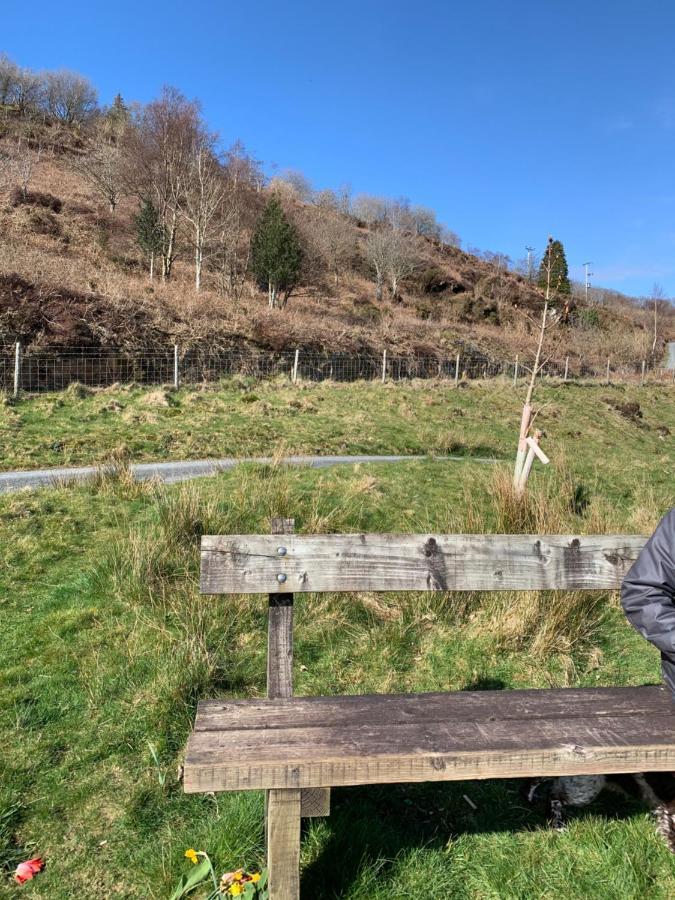 Penrhyndeudreath Snowdonia Rock Cottage - Cosy And Pet Friendly מראה חיצוני תמונה